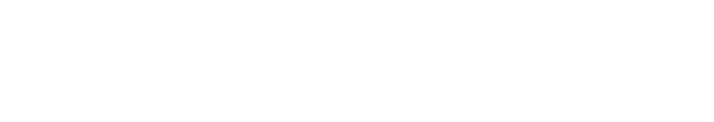 Ninja image