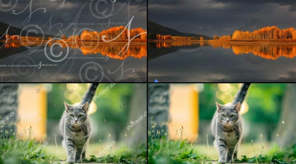 Gemini rimozione watermark