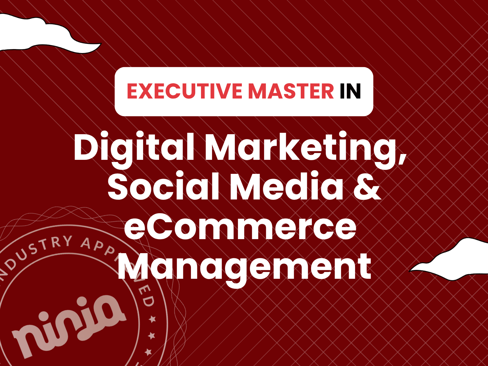 Executive Master in Digital Marketing